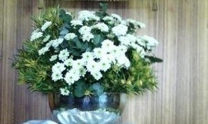 Paulus vervolger van Christene word sendeling